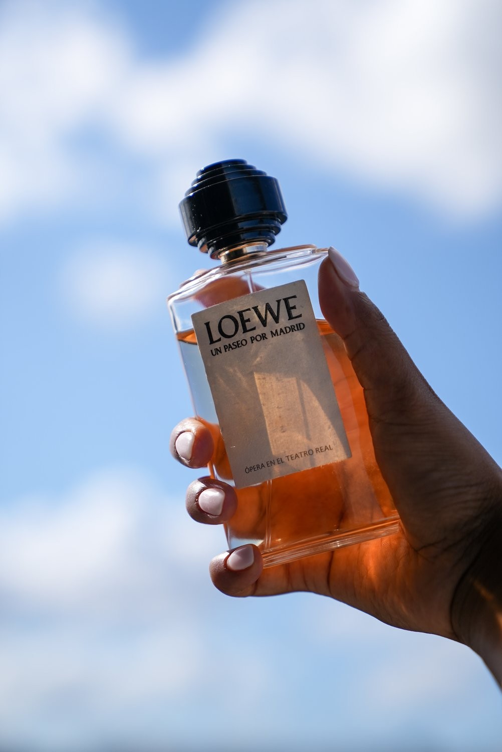 My Top 5 Summer Perfumes Tom Ford Replica Loewe and More SACHINI